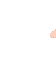 nws_brief_link